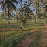 Industrial Land for Long Term Lease in Bangalore