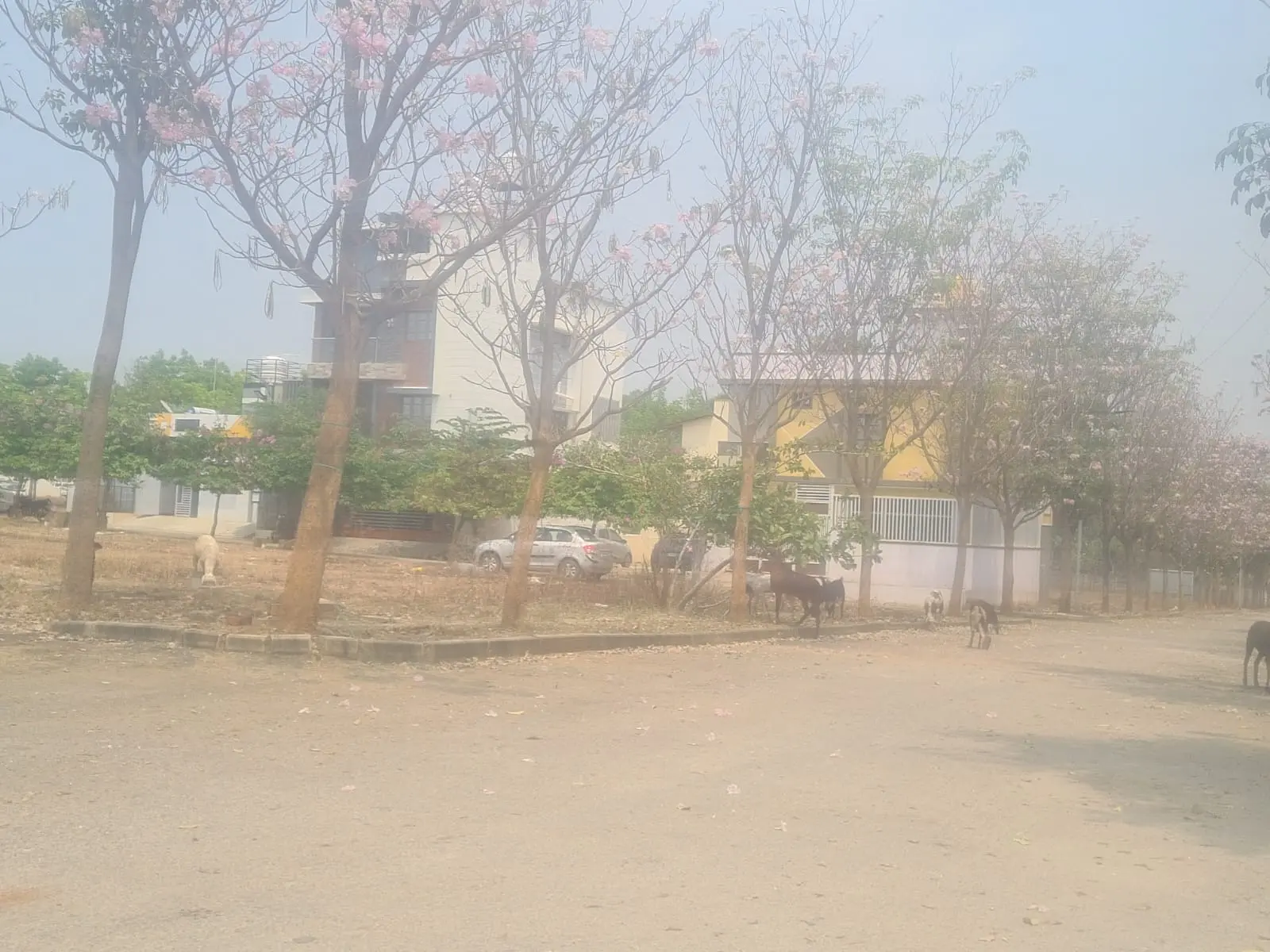 Plot for Sale in KNS Anirvan Magadi Road Bangalore