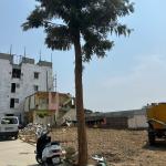 BBMP Approved Plots for Sale in Begur Mylsandra, Bangalore – RIO Royal Cit