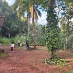4BHK Independent House for Sale in Borkala Jaalapadou, Meeyapadavu–Sasigoli Road — 25 Cents Land