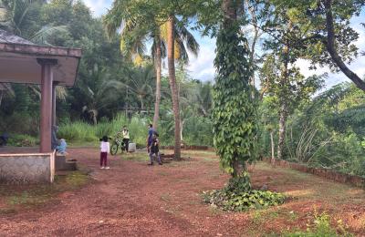 4BHK Independent House for Sale in Borkala Jaalapadou, Meeyapadavu–Sasigoli Road — 25 Cents Land