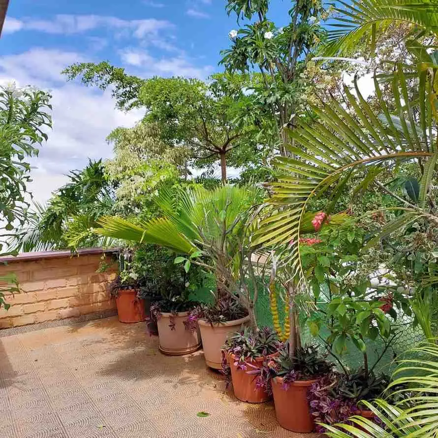 4BHK Corner Duplex Villa for Sale in Sarjapur–Ithanganur Road East Facing