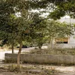 Premium Corner Site for Sale in JP Nagar 1st Phase East-South Corner