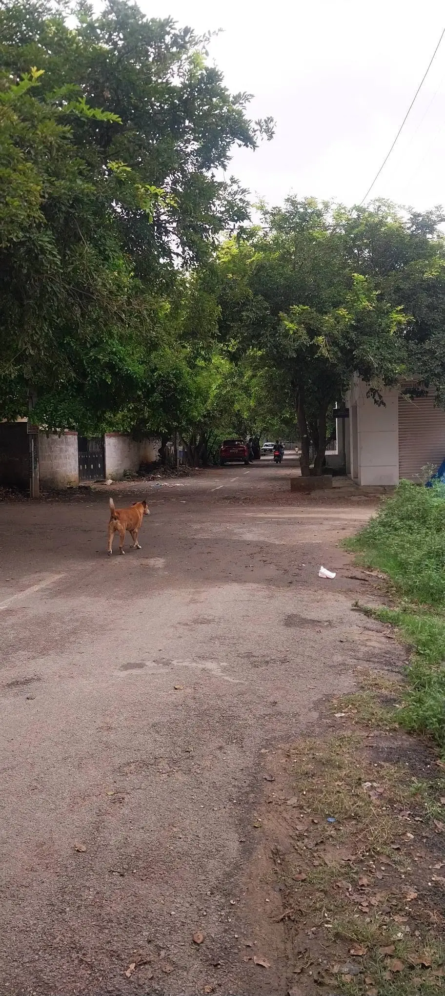 North-Facing Residential Plot for Sale in Coconut Groove Layout, Horamavu, Bengaluru