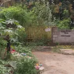 North-Facing Residential Plot for Sale in Coconut Groove Layout, Horamavu, Bengaluru