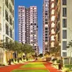 Nyati Tathawade Redefining Urban Comfort in Prime Pune Location