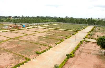 Plots in Noida