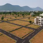 Prestige Pulimamidi