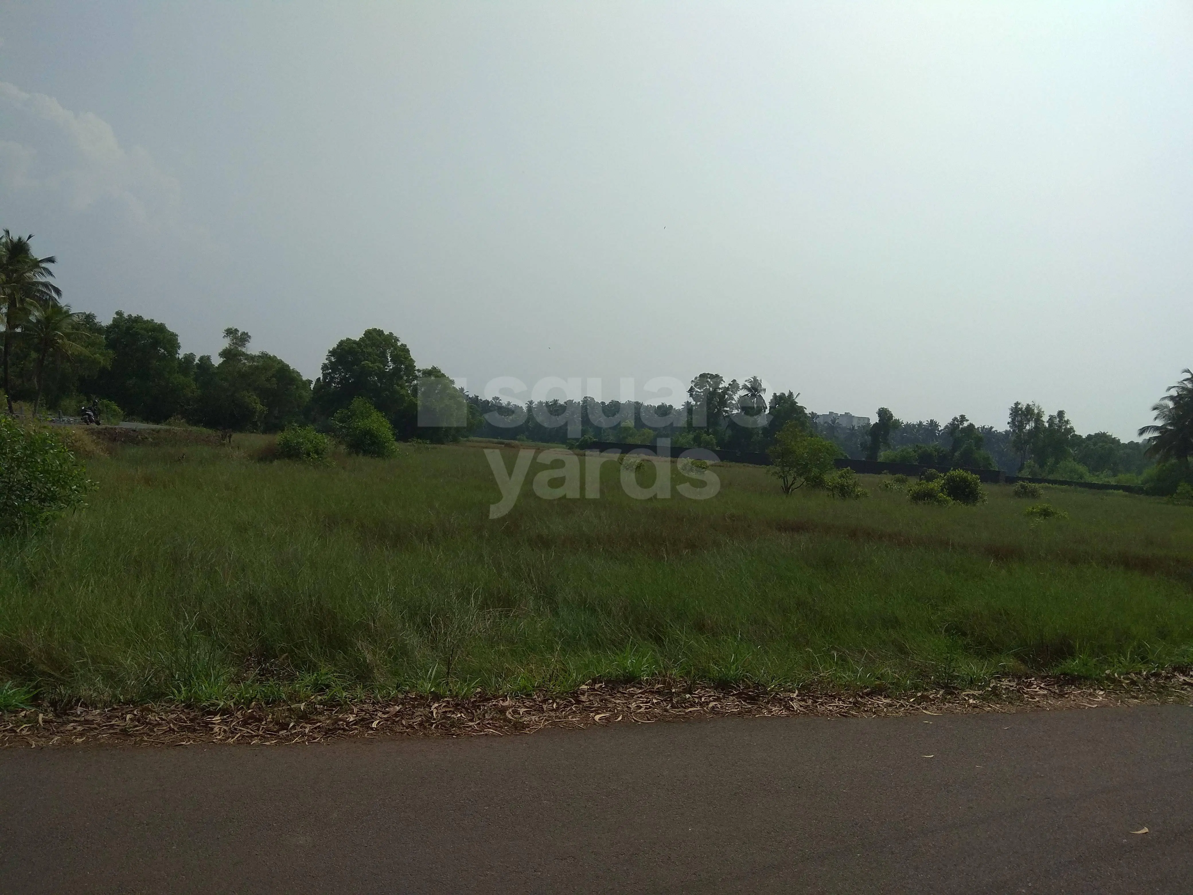 Veerendra