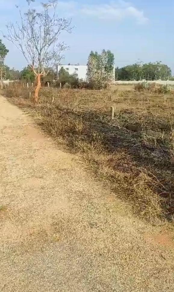 Plot for Sale in Devanahalli Air port City ,Uganhalli