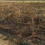 Plot for Sale in Devanahalli Air port City ,Uganhalli