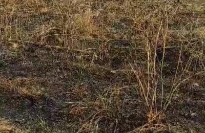 Plot for Sale in Devanahalli Air port City ,Uganhalli