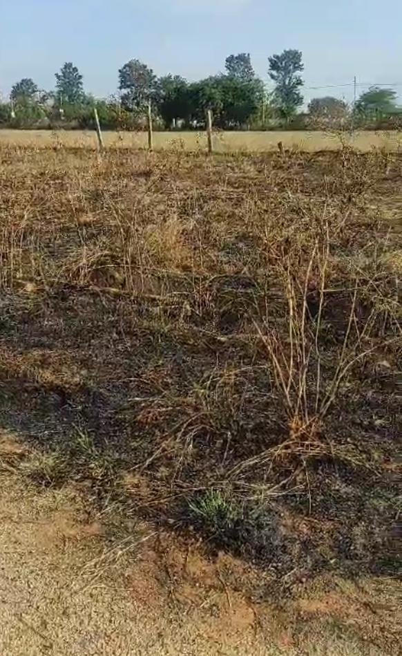 Plot for Sale in Devanahalli Air port City ,Uganhalli