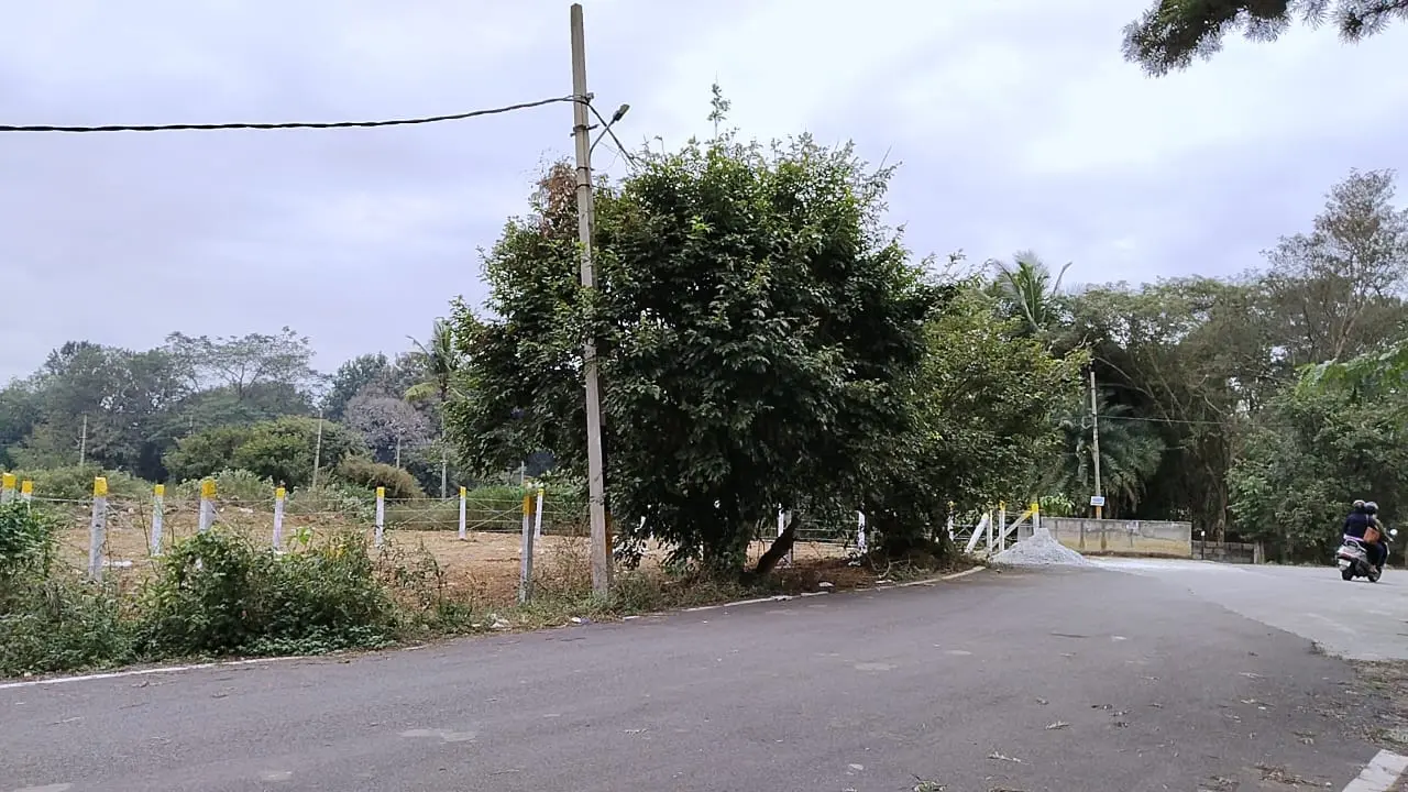 Well-Located BDA Corner Site with Outstanding Investment Potential