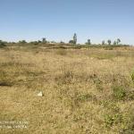 16.5 Acres Land For Sale in Bagepalli, Chikkaballapur