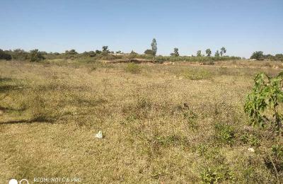 16.5 Acres Land For Sale in Bagepalli, Chikkaballapur