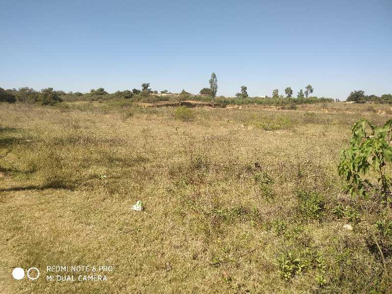 16.5 Acres Land For Sale in Bagepalli, Chikkaballapur