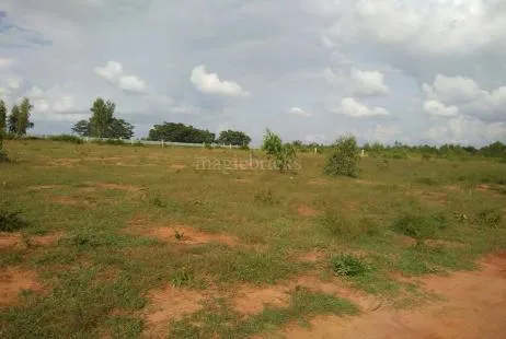 16.5 Acres Land For Sale in Bagepalli, Chikkaballapur