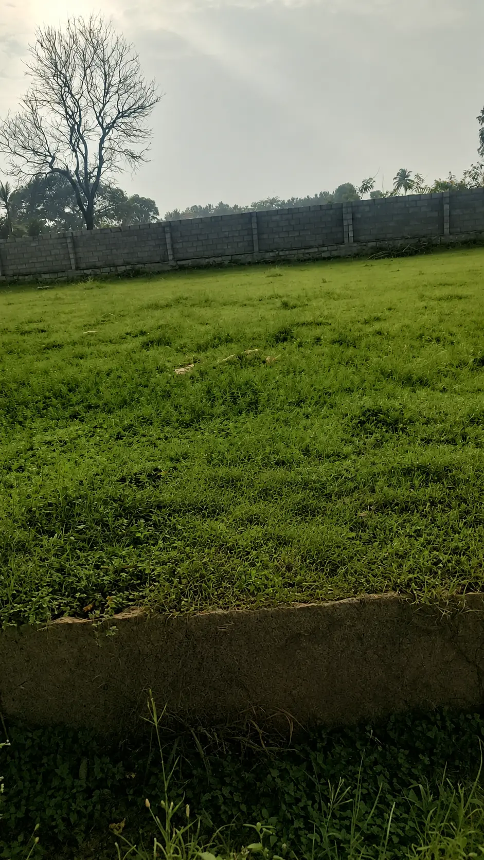 Premium East Facing BMRDA Approved Residential Plot in Telecom (BSNL) Society
