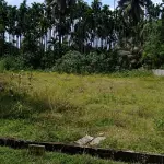 High-Potential Residential Land Near NH 4 Highway, Jaganathapura