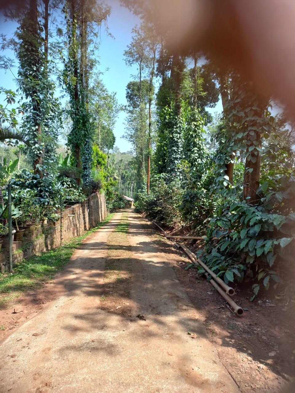 73 Acres of Land For Sale in Gonikoppa,Kodagu