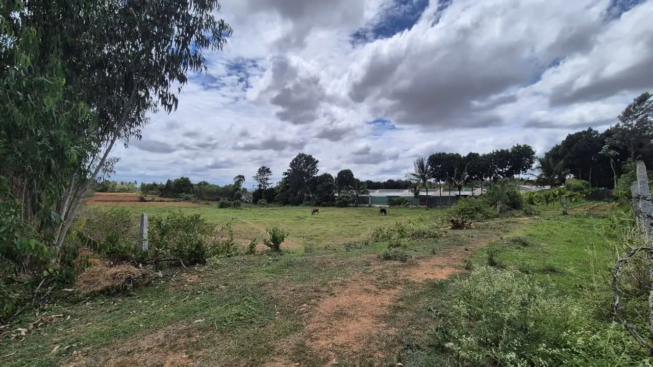 1 Acre Agricultural Land for Sale in Sakkaregollahalli, Doddabelavangala