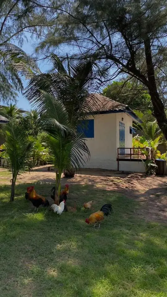 Luxury 3 BHK Duplex Farmhouse on 4.21 Acres Near Bannerghatta Road
