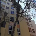 2BHK Flat for Sale in Jayanagar