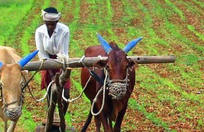 Karnataka Land Reforms Act on Property Ownership