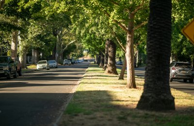 RT Nagar Bangalore: Complete Locality Guide for Buyers