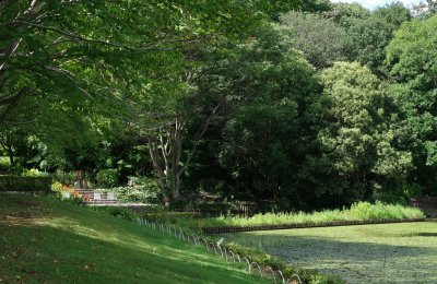 Vidyaranyapura Bangalore: Complete Locality Guide for Buyers