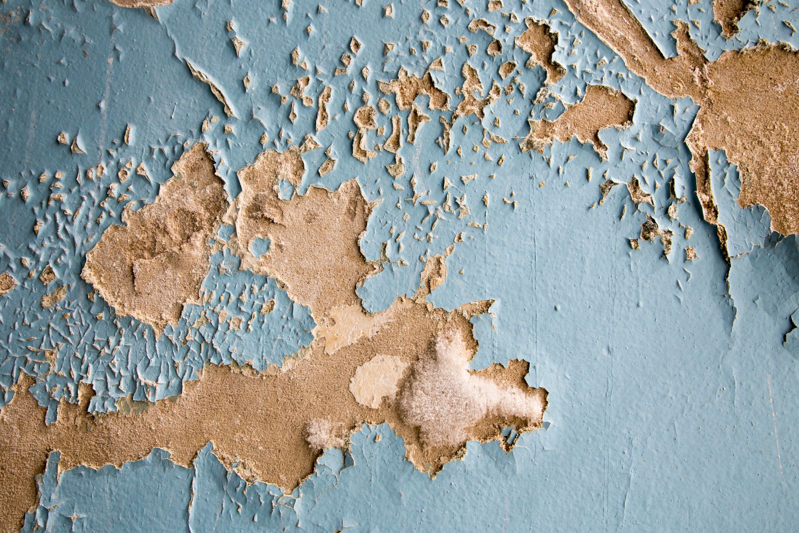 Water Damage and Its Long-Term Impact on Property Value