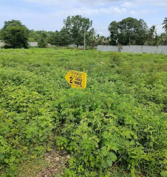 Residential Plot for Sale in Kaglipura