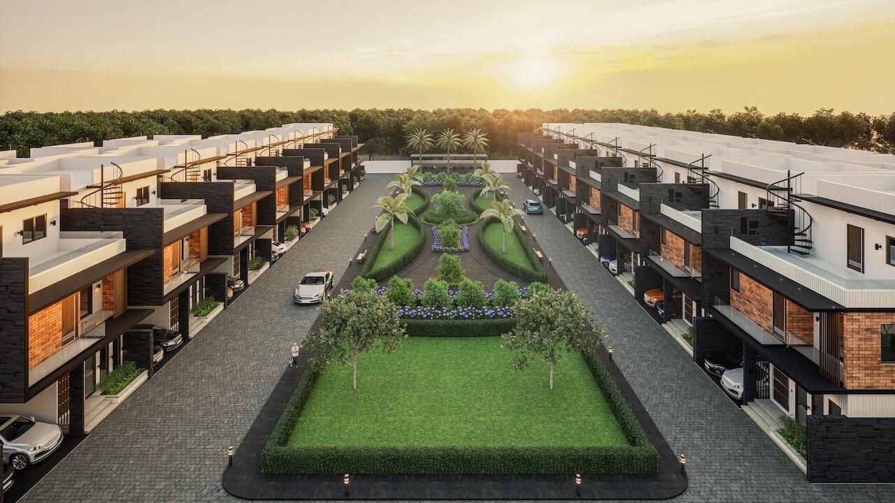 Saiven Mulberry Groves