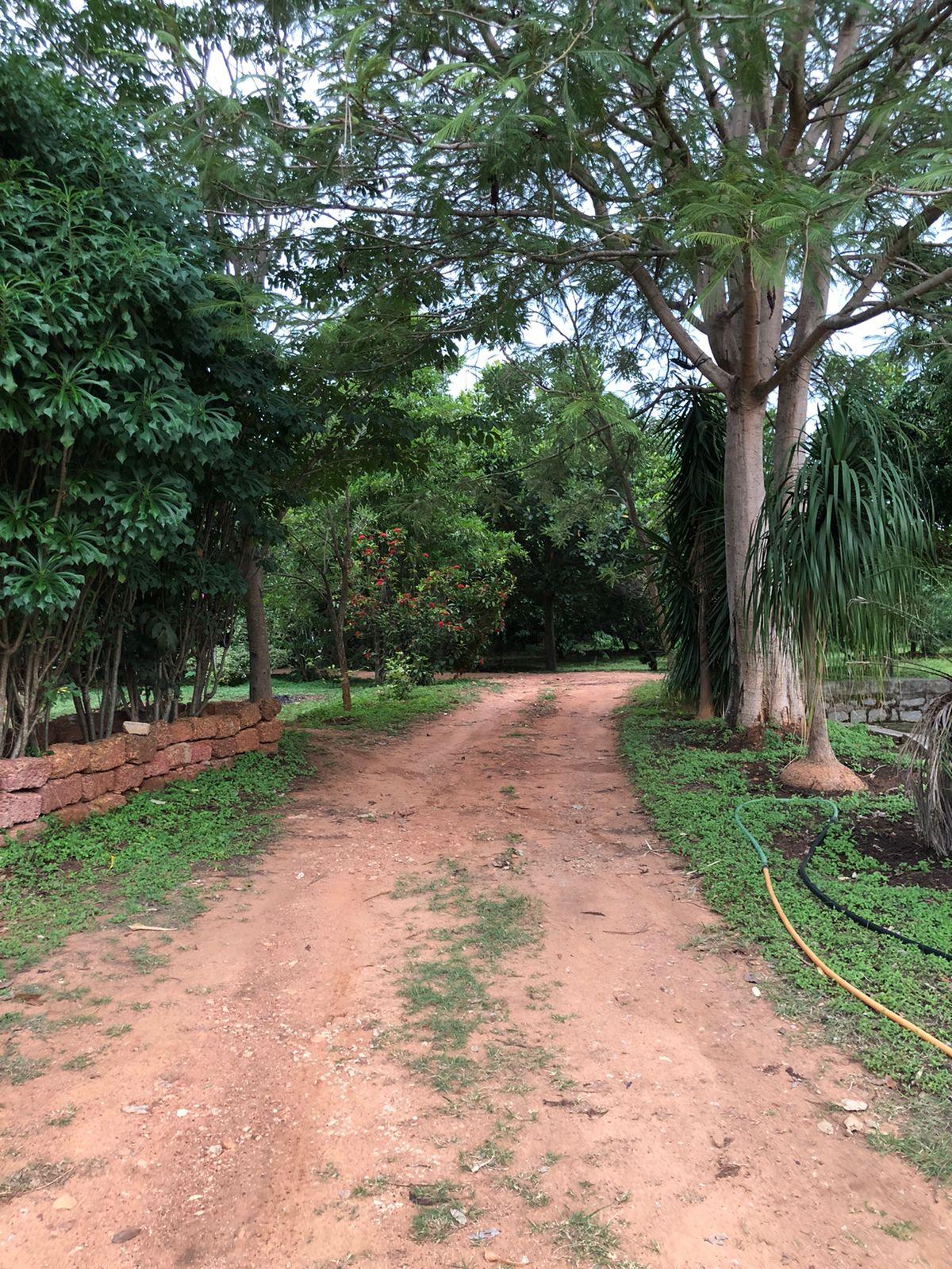 Sadashivanagara Farm House