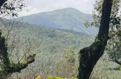 Land for Sale in Chikmagalur
