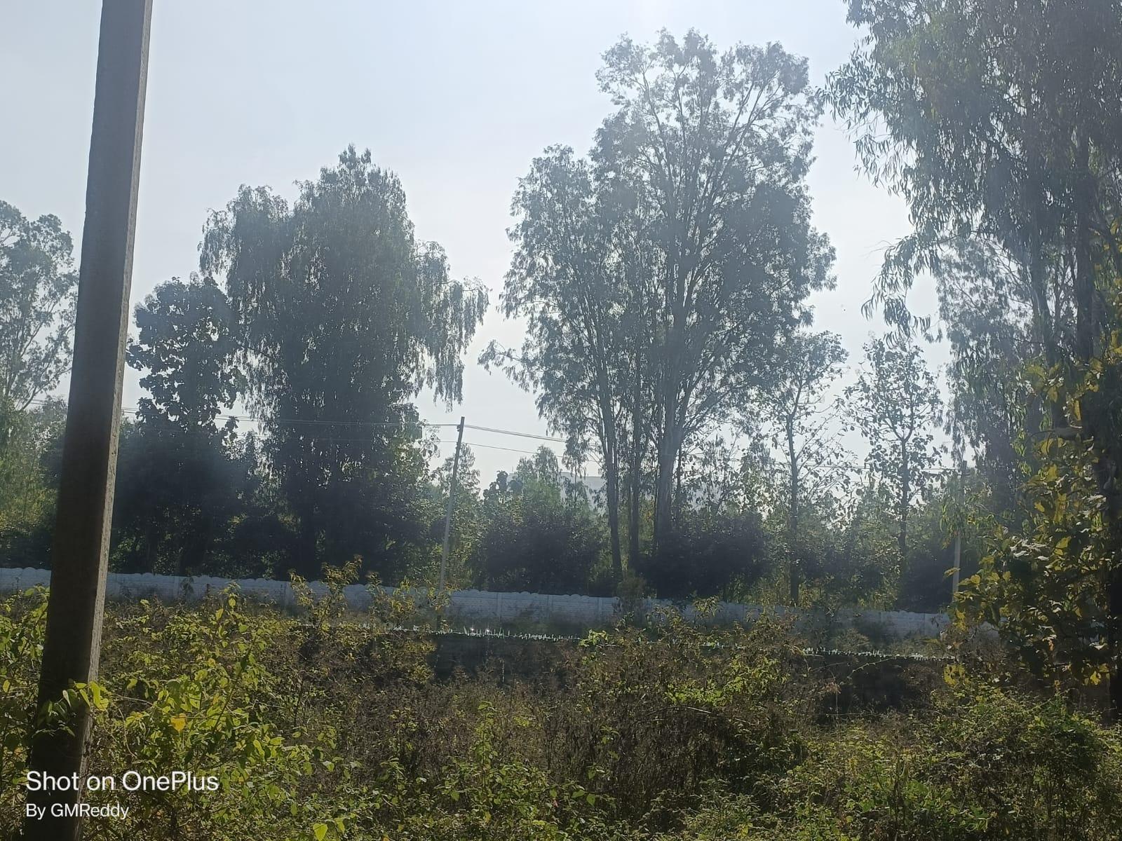Residential Plots for Sale in Jigani, Nanjapura