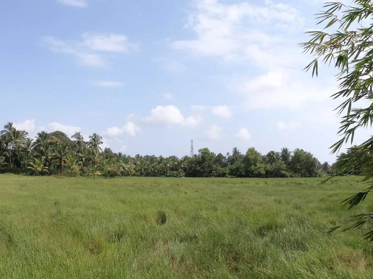PLOT FOR SALE IN ATHIKARIBETTU, MULKI
