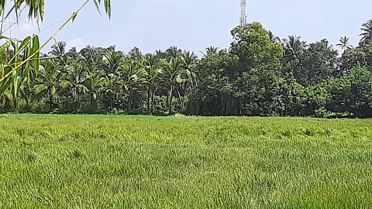 PLOT FOR SALE IN ATHIKARIBETTU, MULKI
