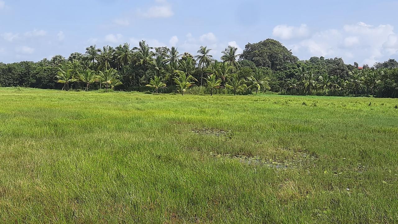 PLOT FOR SALE IN ATHIKARIBETTU, MULKI