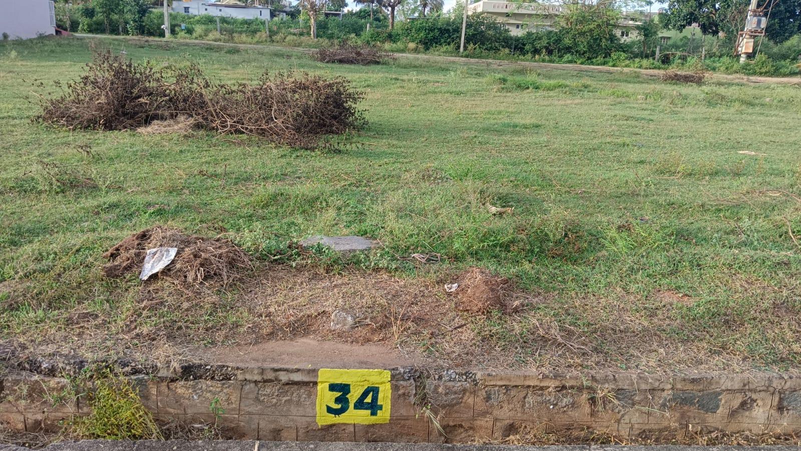 Land for Sale in Chikkegowdana Koppalu, Mysore