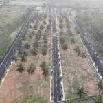 Oraiyan Sai Gardenia Villa Plots in Kanakapura Rd, Kaggalipura