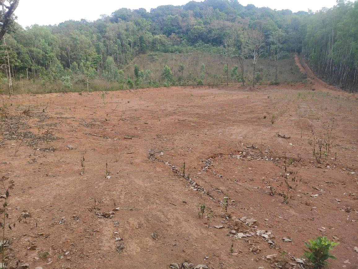 Agricultural Land for Sale in Hegdekatta, Sirsi