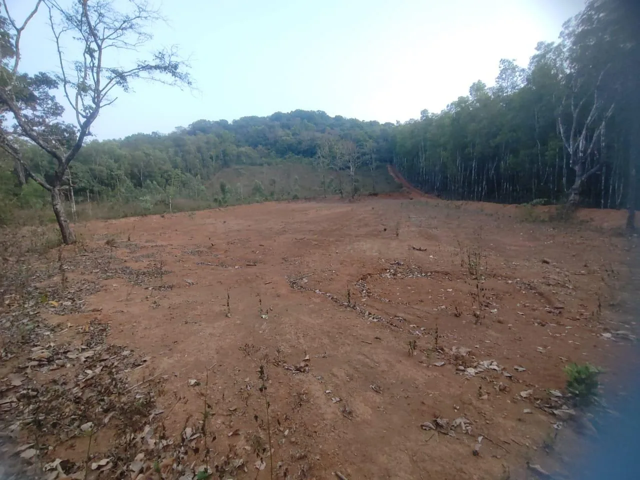 Agricultural Land for Sale in Hegdekatta, Sirsi