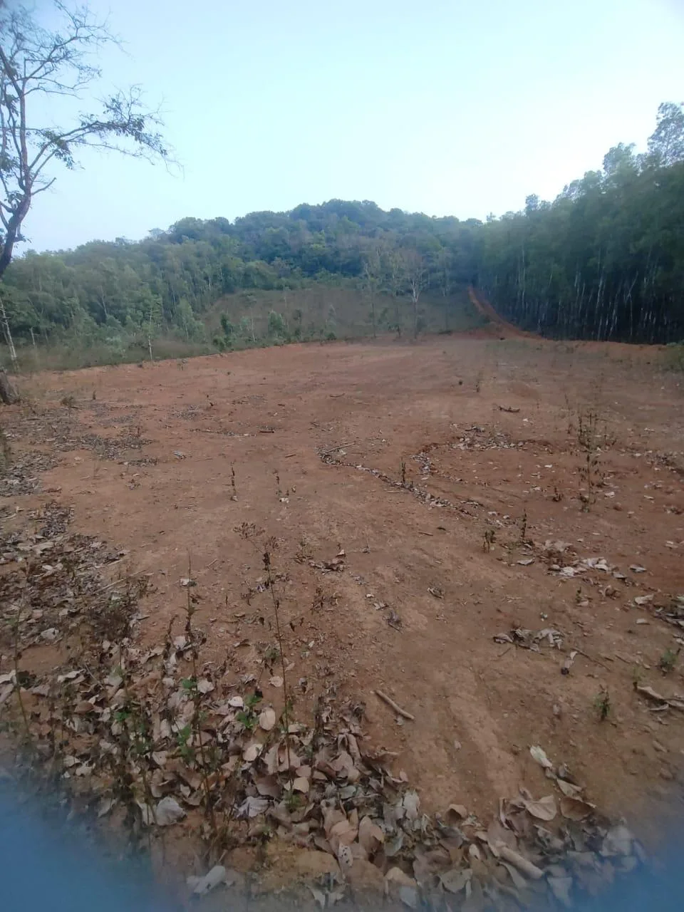 Agricultural Land for Sale in Hegdekatta, Sirsi