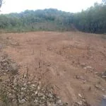 Agricultural Land for Sale in Hegdekatta, Sirsi
