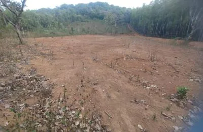 Agricultural Land for Sale in Hegdekatta, Sirsi