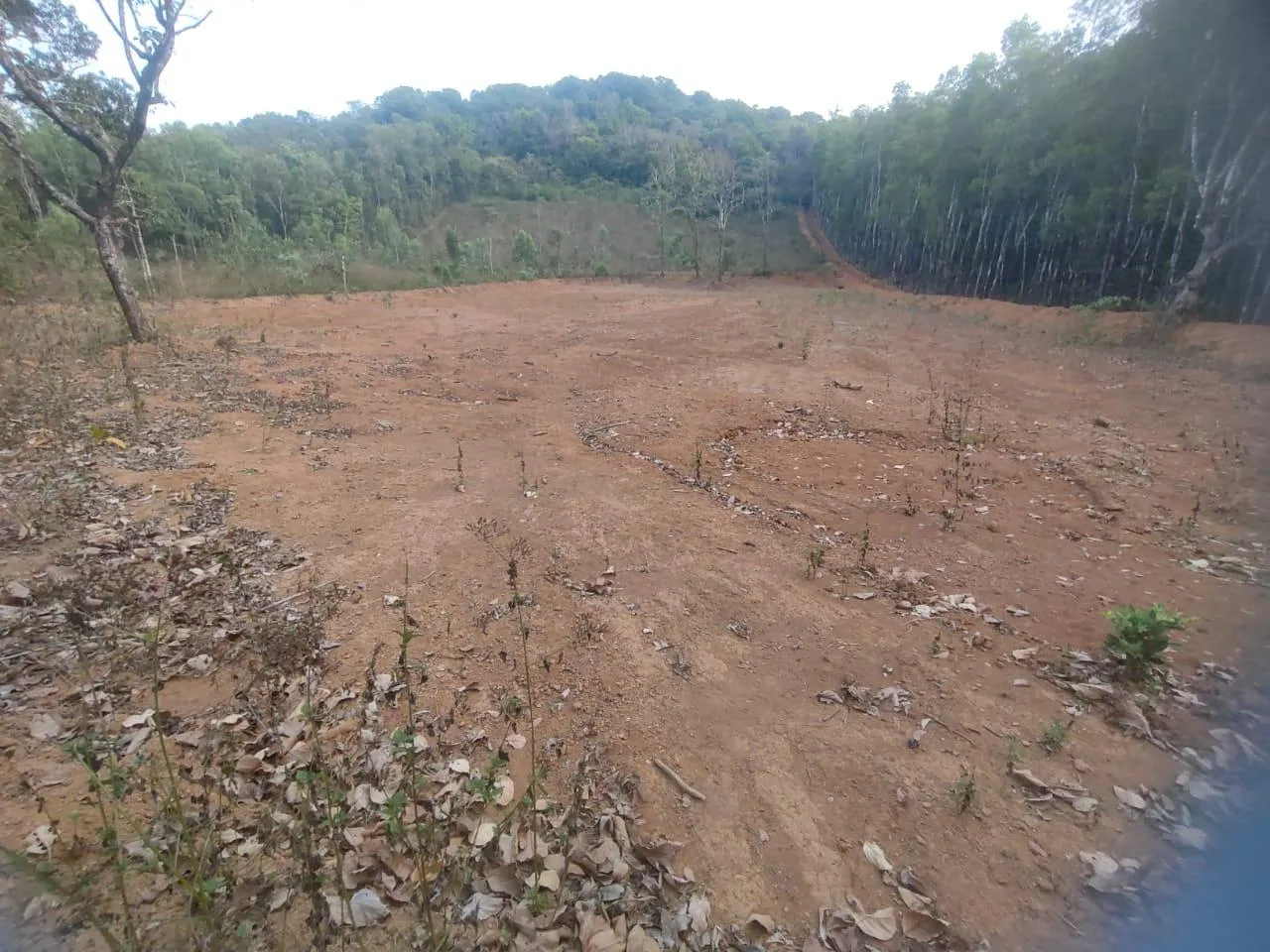 Agricultural Land for Sale in Hegdekatta, Sirsi