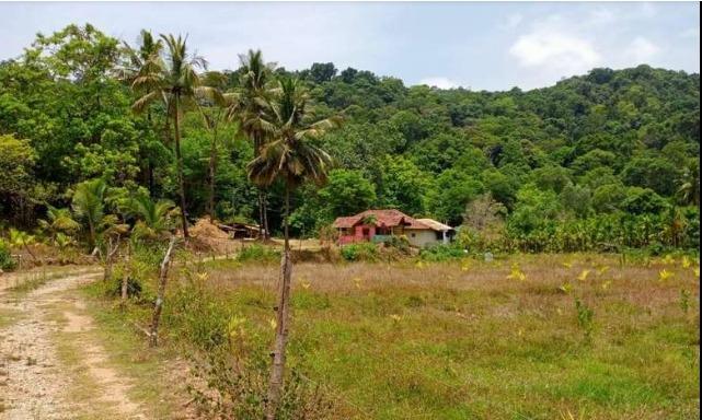 Farm House & Agricultural Land for Sale Mavinakoppa, Hosanagara