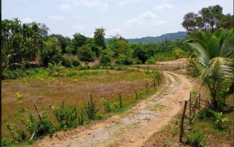Farm House & Agricultural Land for Sale Mavinakoppa, Hosanagara